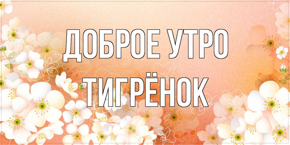 Открытка на каждый день с именем, Тигрёнок Доброе утро доброе утро с цветами Прикольная открытка с пожеланием онлайн скачать бесплатно 