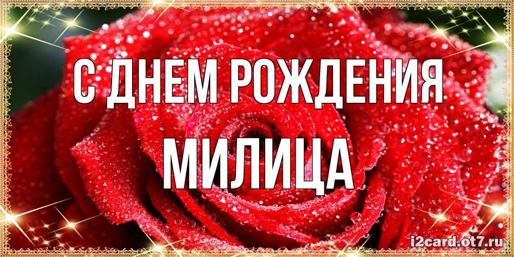 Открытка на каждый день с именем, Милица С днем рождения роса и роза. открытка с красивой розой Прикольная открытка с пожеланием онлайн скачать бесплатно 