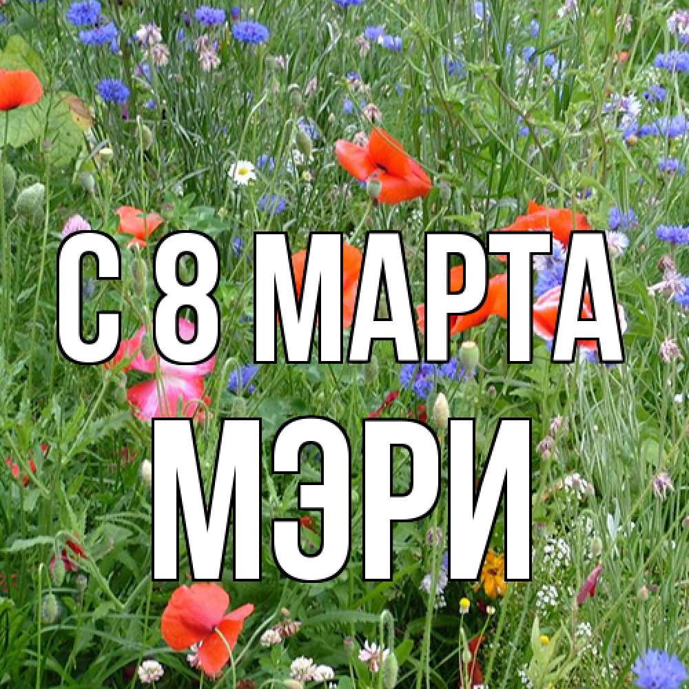 Открытка на каждый день с именем, Мэри C 8 МАРТА международный женский день 4 Прикольная открытка с пожеланием онлайн скачать бесплатно 