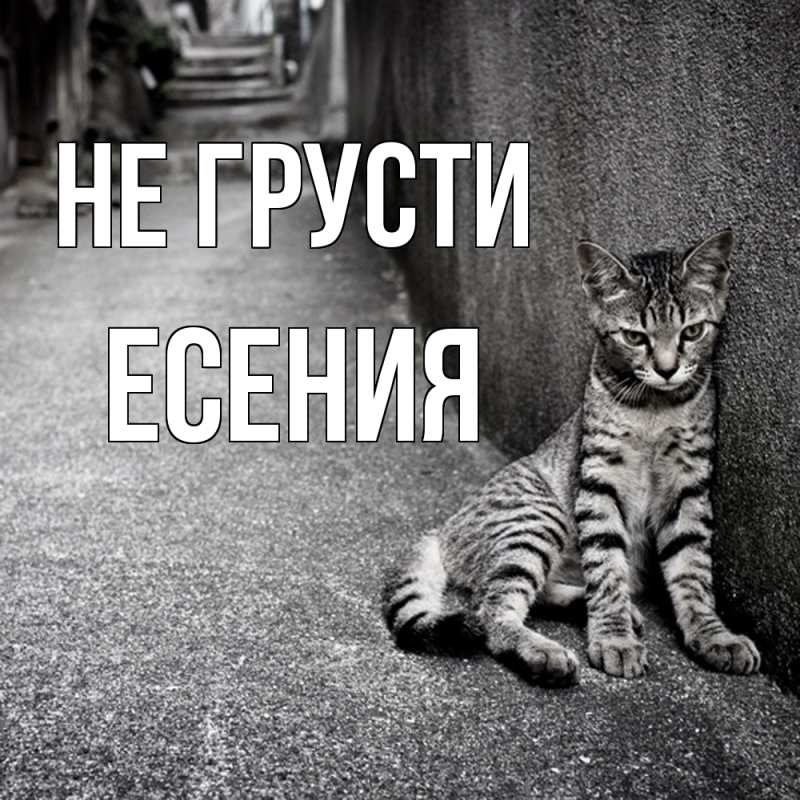 Картинка Не грусти, Есения