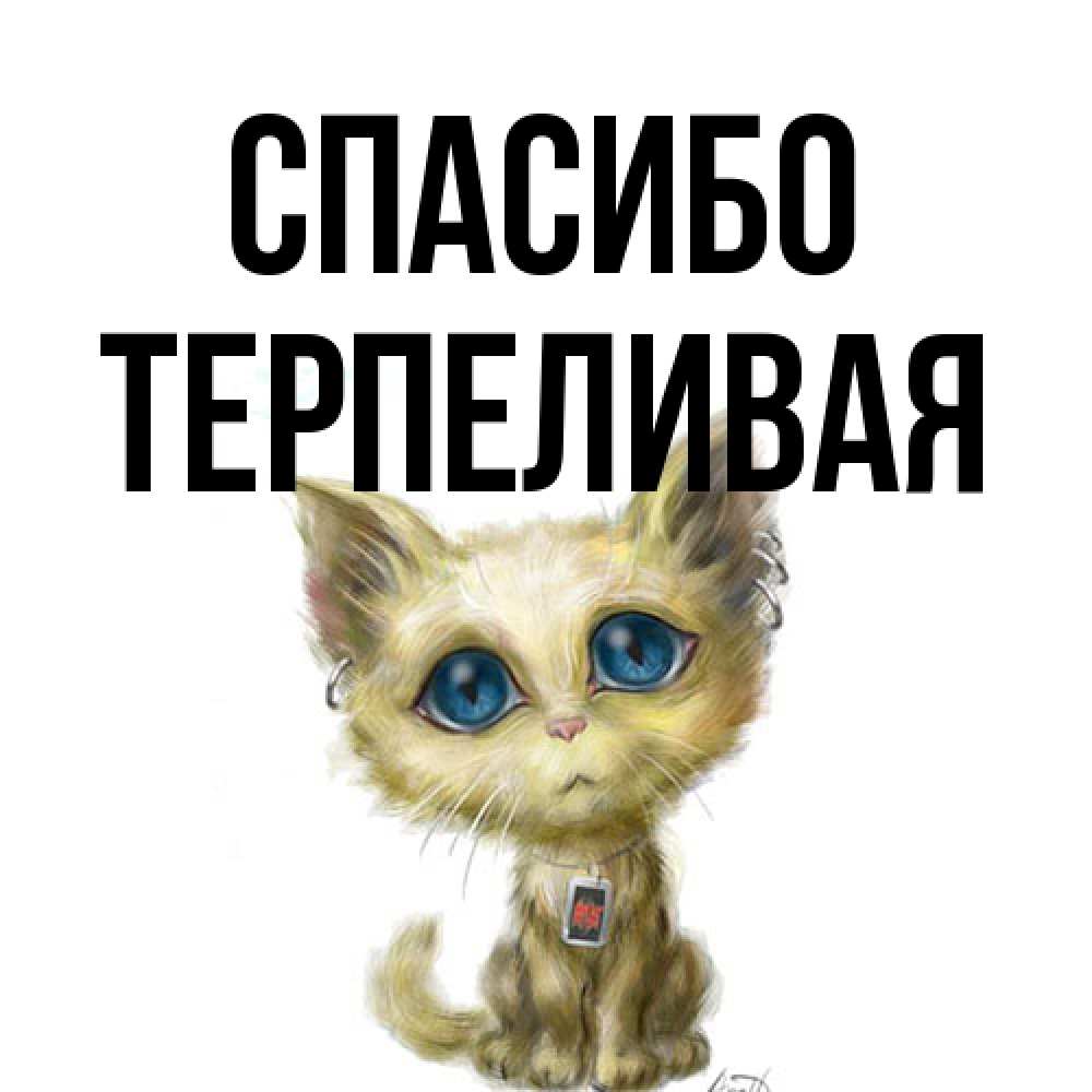 Открытка на каждый день с именем, терпеливая Спасибо рисованный кот благодарит вас Прикольная открытка с пожеланием онлайн скачать бесплатно 