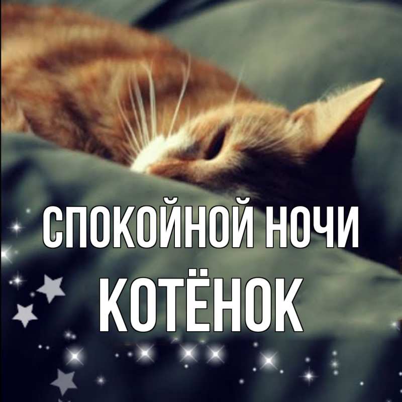 Картинка Спокойной ночи, Котёнок