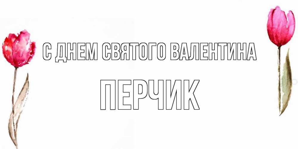 Открытка на каждый день с именем, перчик С днем Святого Валентина Открытки на день всех влюбленных с тюльпанами акварелью Прикольная открытка с пожеланием онлайн скачать бесплатно 