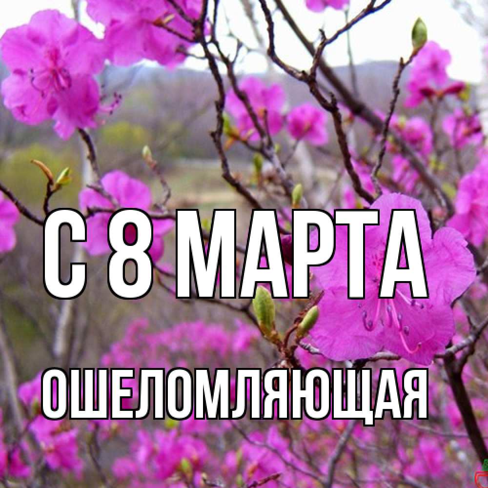 Открытка на каждый день с именем, Ошеломляющая C 8 МАРТА международный женский день Прикольная открытка с пожеланием онлайн скачать бесплатно 