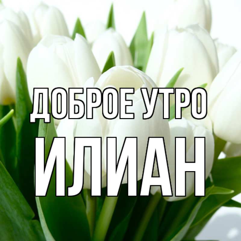 Картинка Доброе утро, Илиан