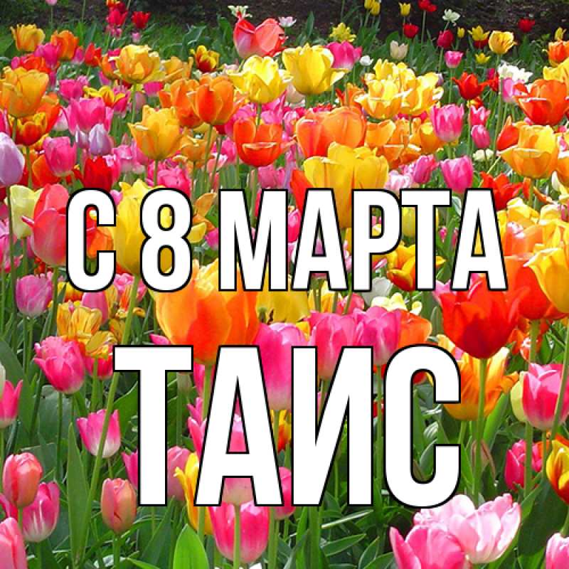 Картинка C 8 МАРТА, Таис