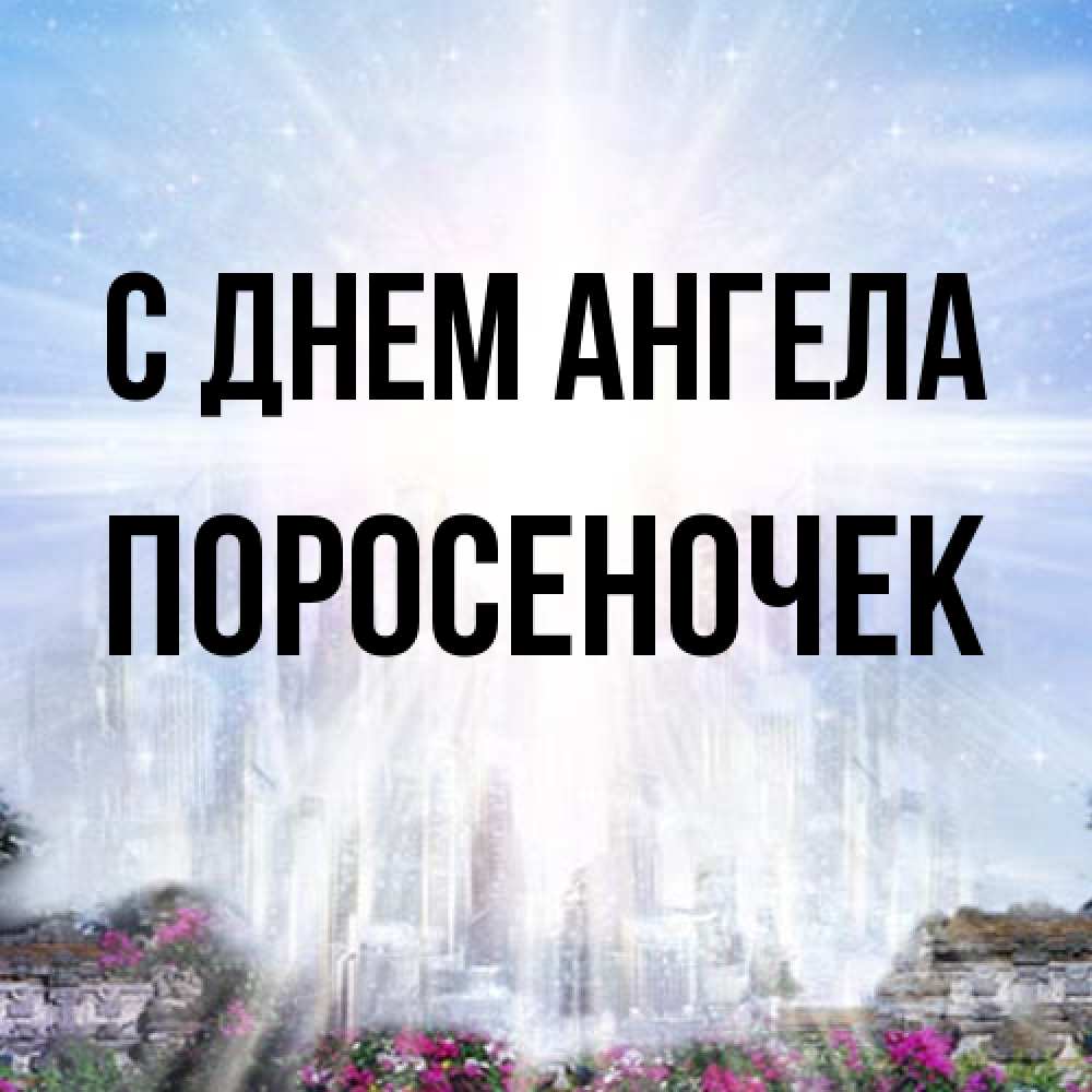 Открытка на каждый день с именем, поросеночек С днем ангела небесный свет Прикольная открытка с пожеланием онлайн скачать бесплатно 
