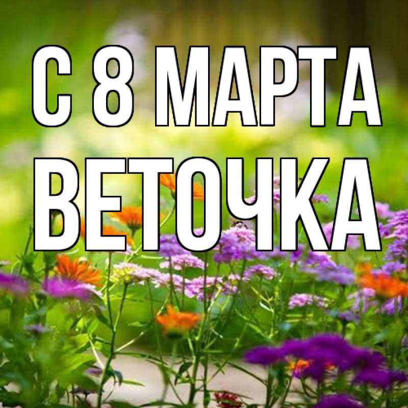 Картинка C 8 МАРТА, Веточка