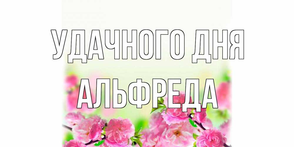 Открытка на каждый день с именем, Альфреда Удачного дня цветы Прикольная открытка с пожеланием онлайн скачать бесплатно 