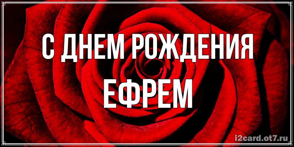 Открытка на каждый день с именем, Ефрем С днем рождения алая роза Прикольная открытка с пожеланием онлайн скачать бесплатно 