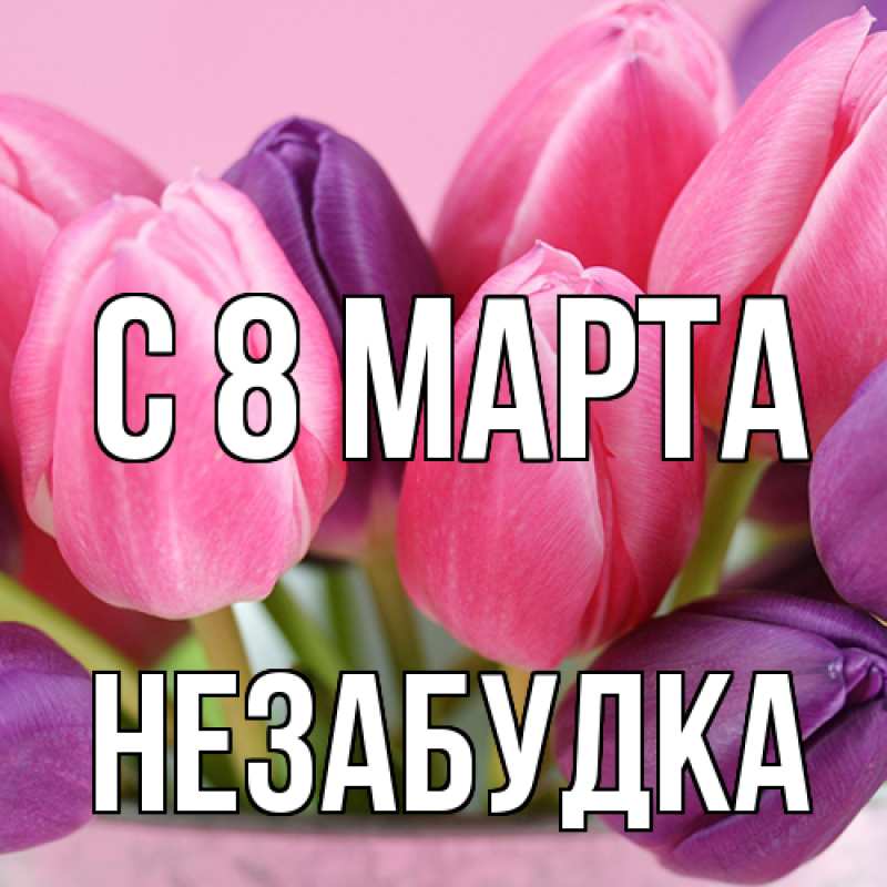 Картинка C 8 МАРТА, Незабудка