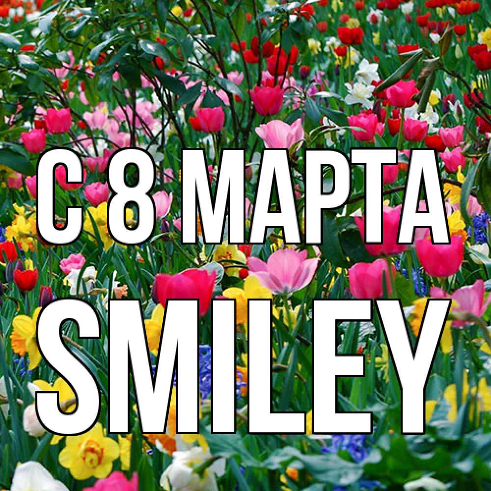 Открытка на каждый день с именем, Smiley C 8 МАРТА с международным женским днем поздравления для женщины Прикольная открытка с пожеланием онлайн скачать бесплатно 