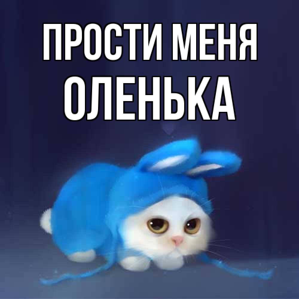 Открытка на каждый день с именем, Оленька Прости меня невинный котозай просит прощения Прикольная открытка с пожеланием онлайн скачать бесплатно 