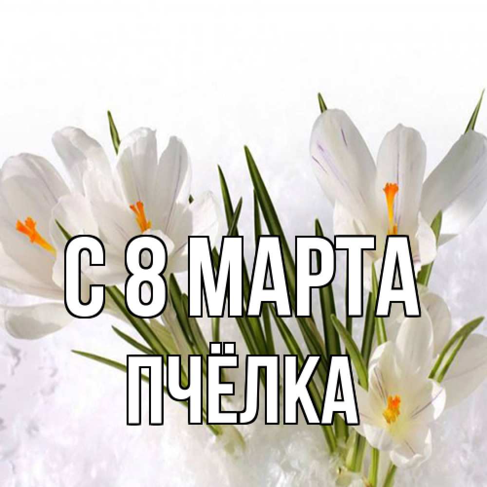 Открытка на каждый день с именем, Пчёлка C 8 МАРТА под снегом Прикольная открытка с пожеланием онлайн скачать бесплатно 