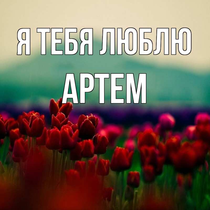 Картинка Я тебя люблю, Артем