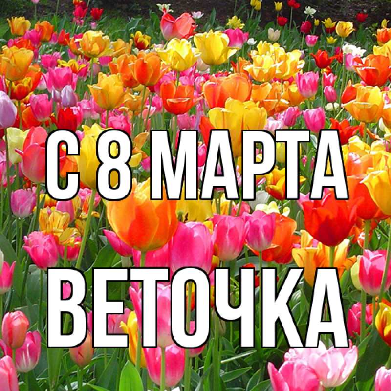 Картинка C 8 МАРТА, Веточка