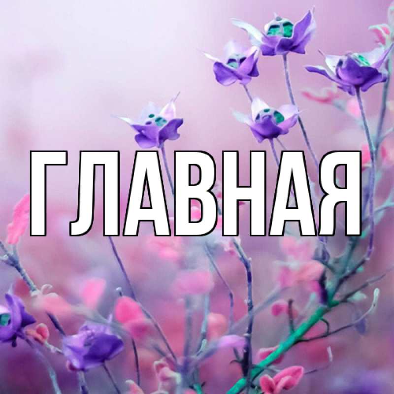 Картинка  с именем , настя