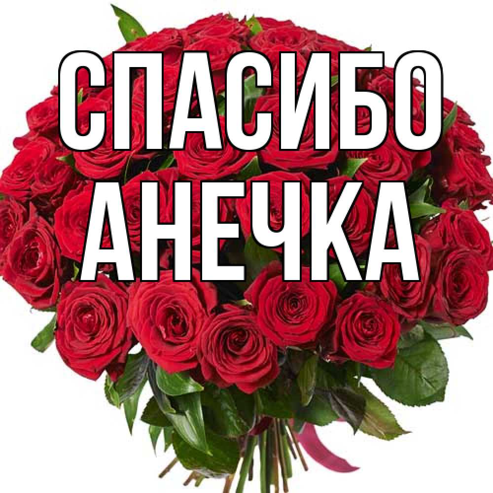 Открытка на каждый день с именем, Анечка Спасибо букет красных роз Прикольная открытка с пожеланием онлайн скачать бесплатно 