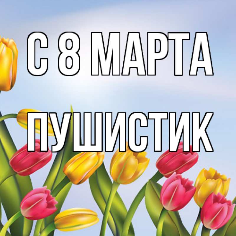 Картинка C 8 МАРТА, Пушистик