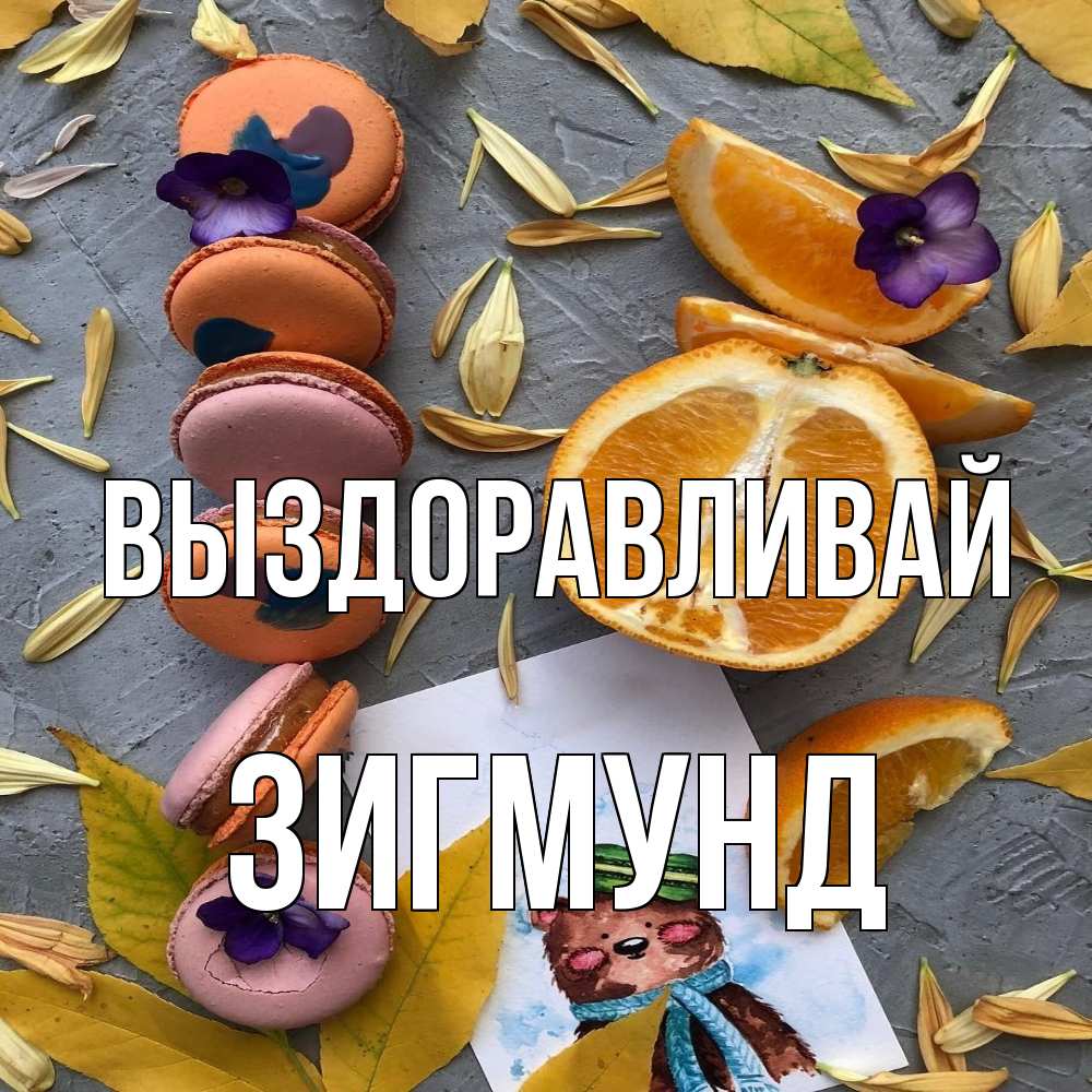 Открытка на каждый день с именем, Зигмунд Выздоравливай не болейте Прикольная открытка с пожеланием онлайн скачать бесплатно 