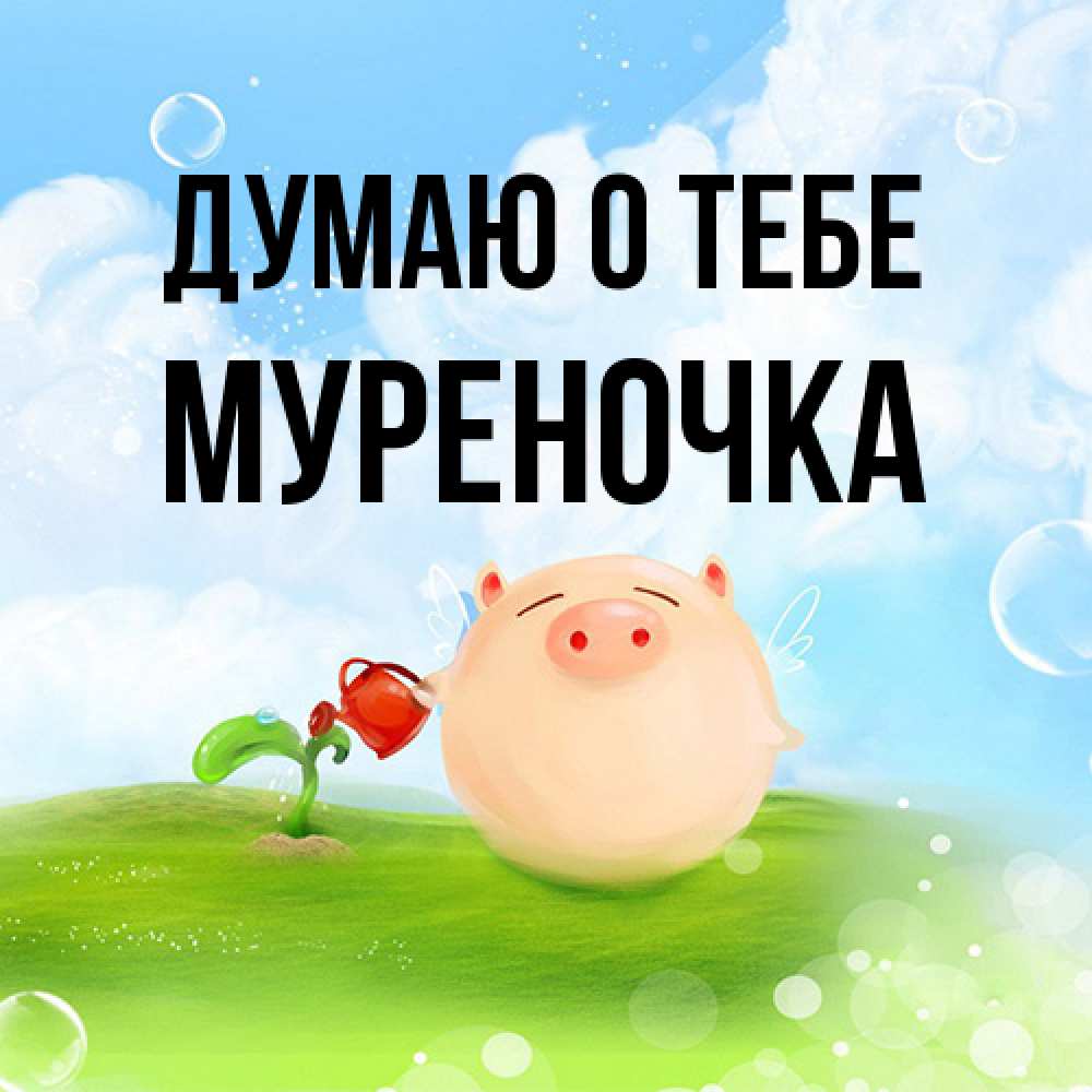 Открытка на каждый день с именем, Муpеночка Думаю о тебе позитивная свинюшка Прикольная открытка с пожеланием онлайн скачать бесплатно 