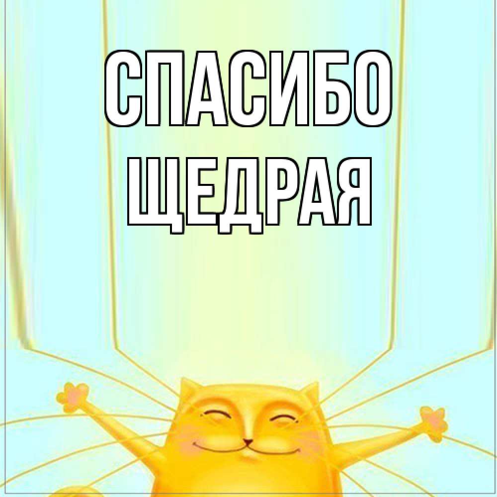 Открытка на каждый день с именем, Щедрая Спасибо кот с усами благодарит Прикольная открытка с пожеланием онлайн скачать бесплатно 
