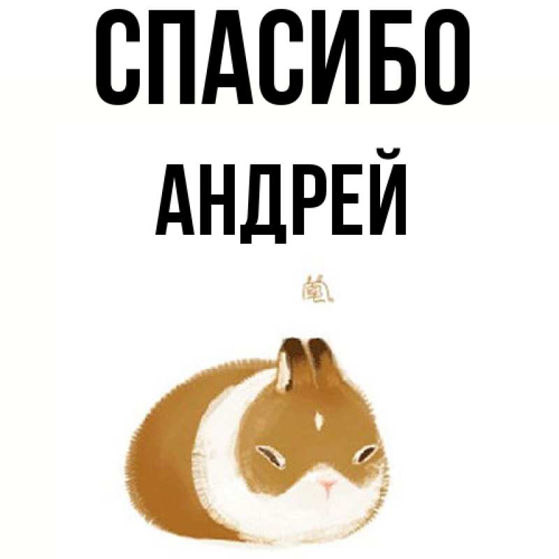 Картинка Спасибо, Андрей