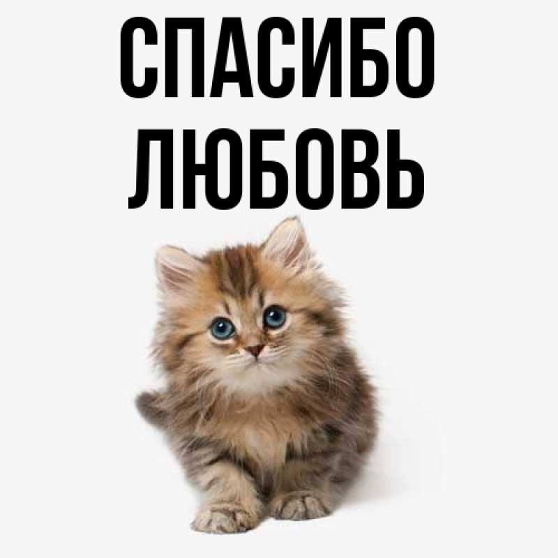 Картинка Спасибо, Любовь