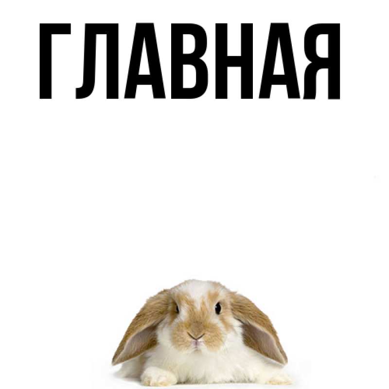 Картинка  с именем , настя