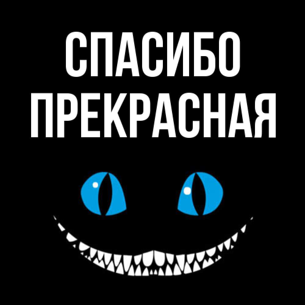 Открытка на каждый день с именем, Пpекpасная Спасибо благодарю от чеширика Прикольная открытка с пожеланием онлайн скачать бесплатно 