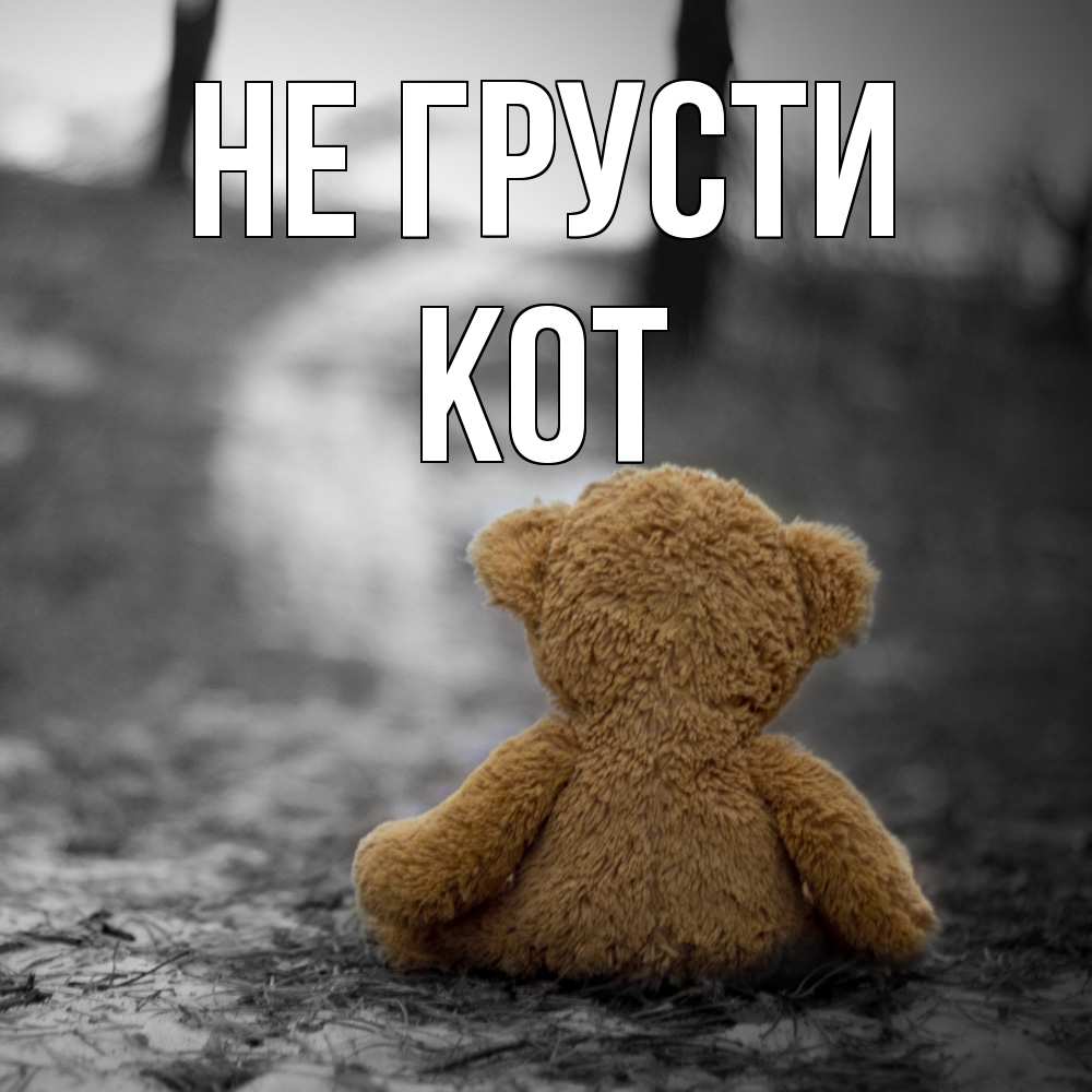 Открытка на каждый день с именем, Кот Не грусти медведь со спин Прикольная открытка с пожеланием онлайн скачать бесплатно 