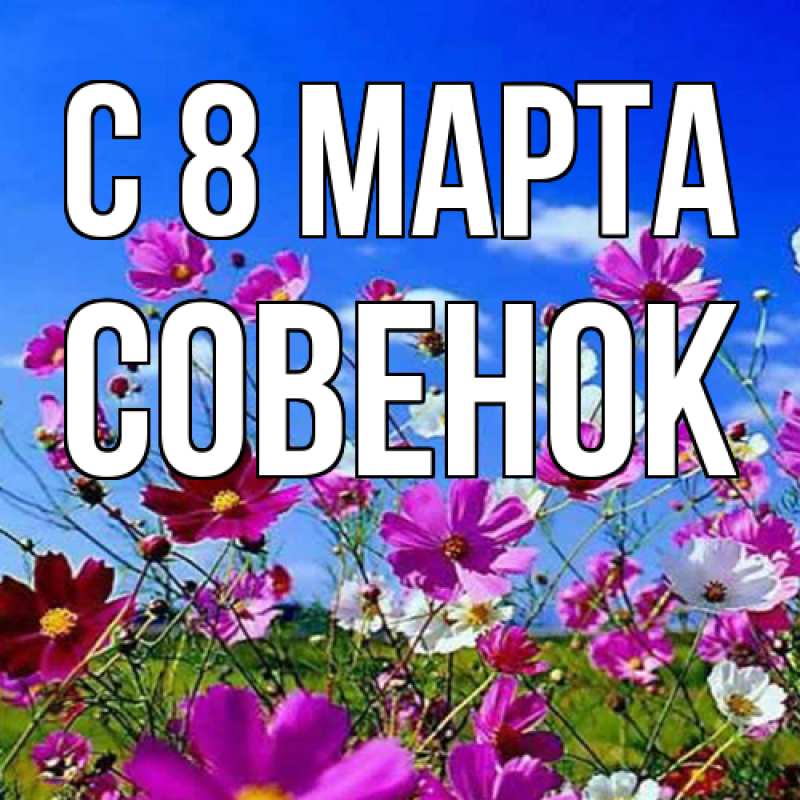 Картинка C 8 МАРТА, совенок