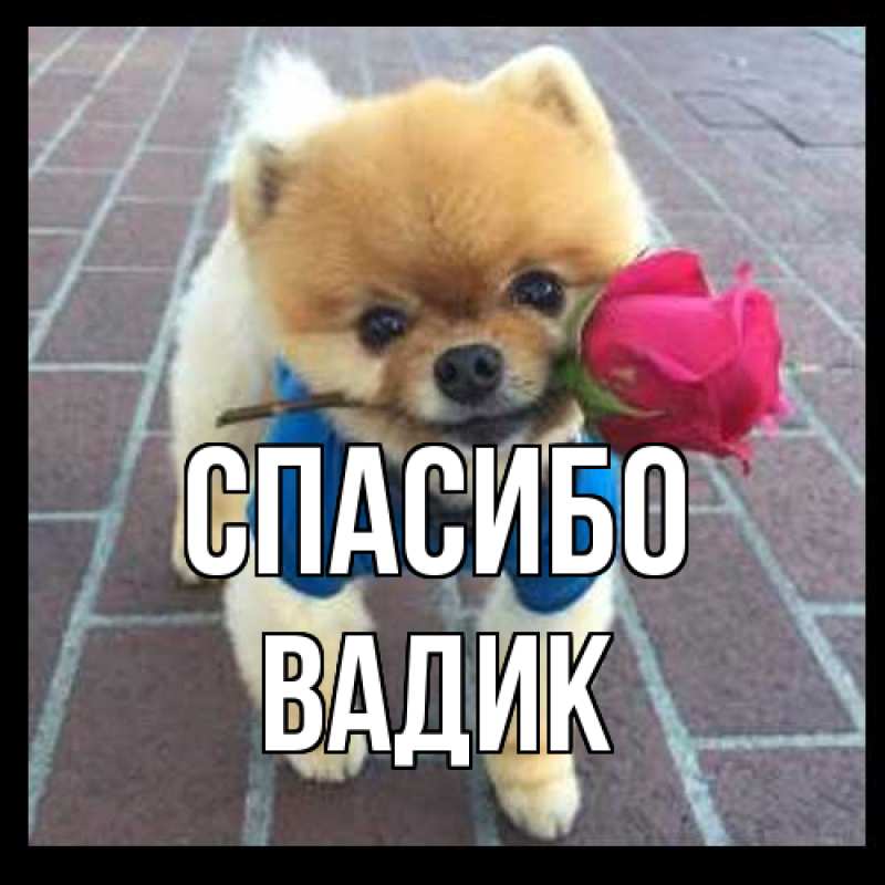 Картинка Спасибо, Вадик