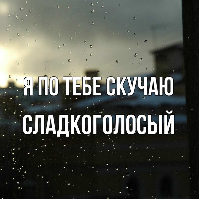 Картинка Я по тебе скучаю, Сладкоголосый