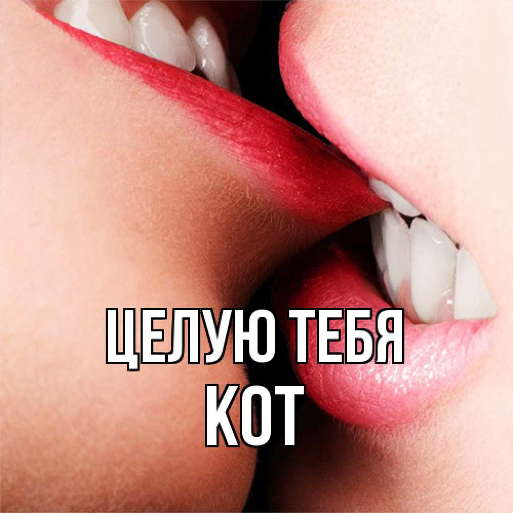 Открытка на каждый день с именем, Кот Целую тебя поцелуй открытки бесплатно Прикольная открытка с пожеланием онлайн скачать бесплатно 