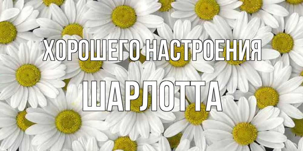 Открытка на каждый день с именем, Шарлотта Хорошего настроения поляна ромашек Прикольная открытка с пожеланием онлайн скачать бесплатно 