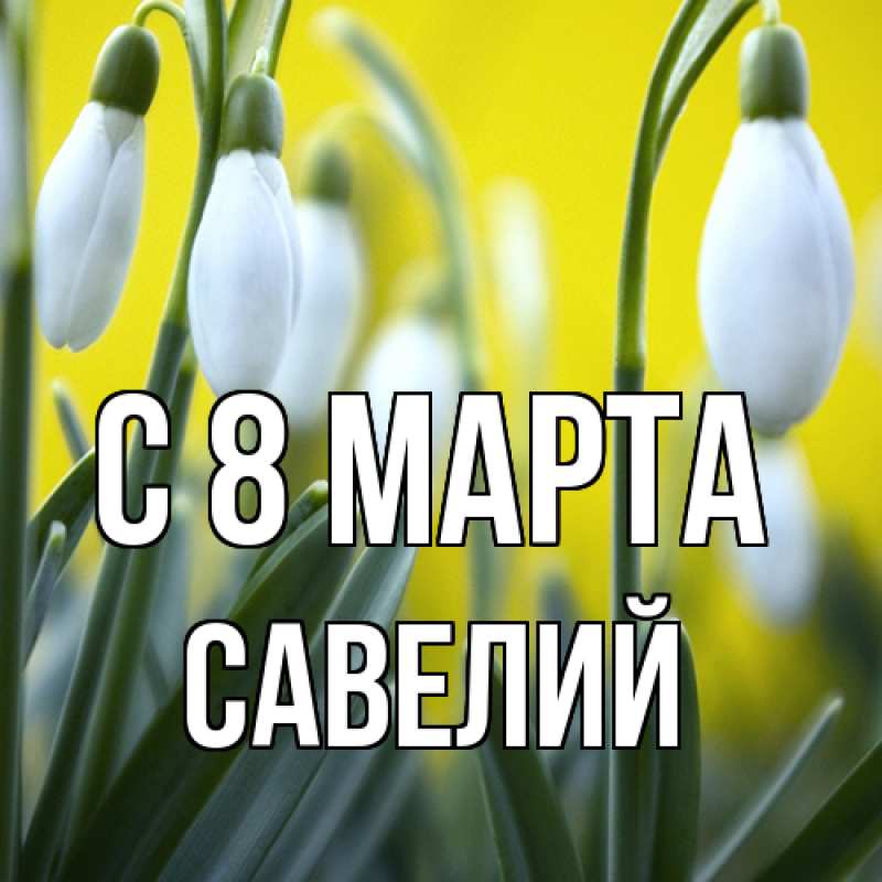 Картинка C 8 МАРТА, Савелий