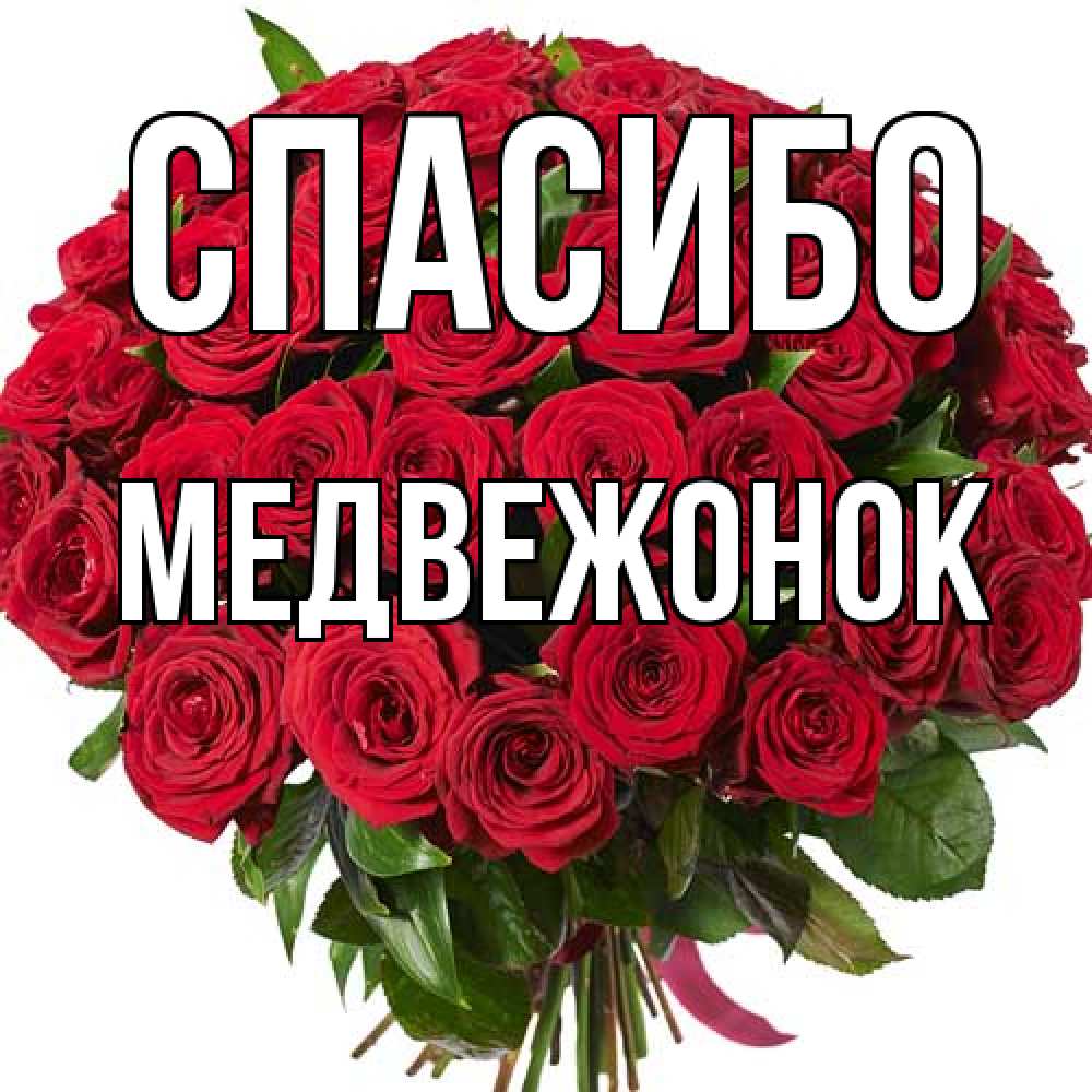 Открытка на каждый день с именем, медвежонок Спасибо букет красных роз Прикольная открытка с пожеланием онлайн скачать бесплатно 