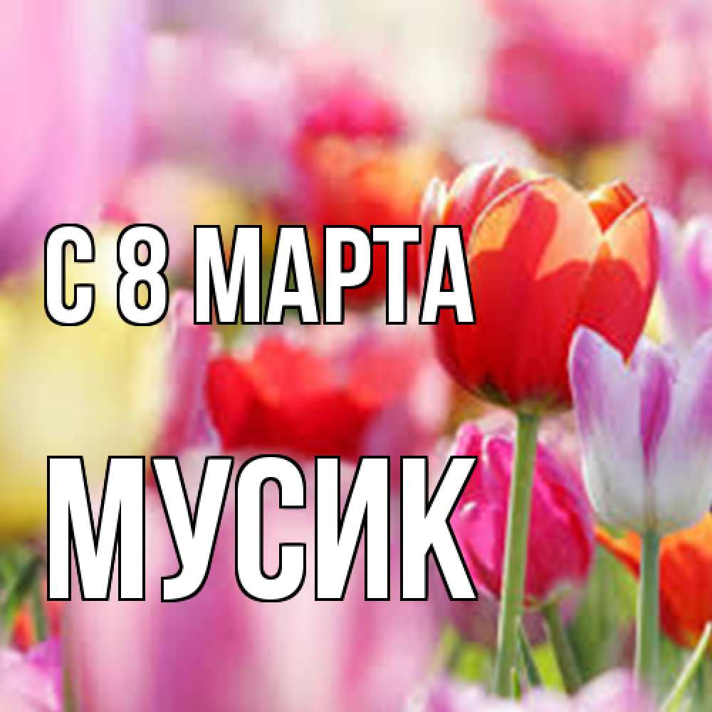 Открытка на каждый день с именем, мусик C 8 МАРТА на международный женский день 2 Прикольная открытка с пожеланием онлайн скачать бесплатно 
