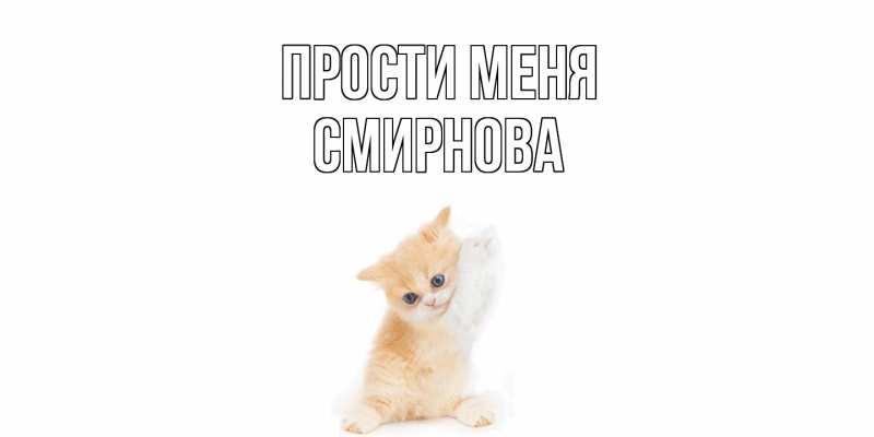 Картинка Прости меня, Смирнова