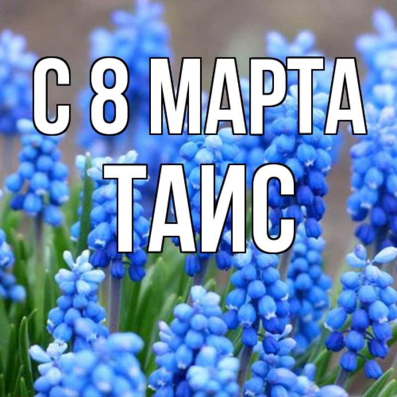 Картинка C 8 МАРТА, Таис