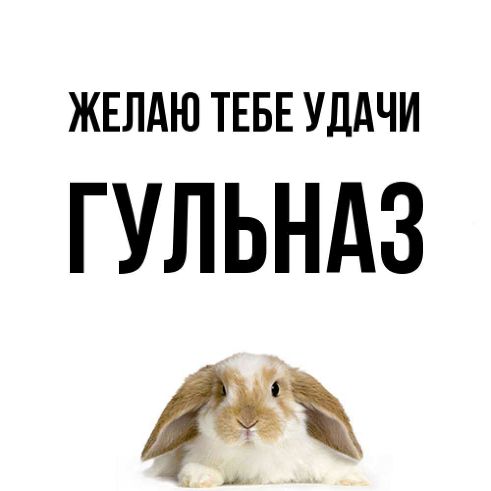 Открытка на каждый день с именем, Гульназ Желаю тебе удачи открытки с произвольным текстом который можно вставить в открытку и создать ее самостоятельно бесплатно онлайн Прикольная открытка с пожеланием онлайн скачать бесплатно 