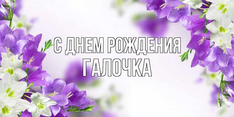 Картинка С днем рождения, Галочка
