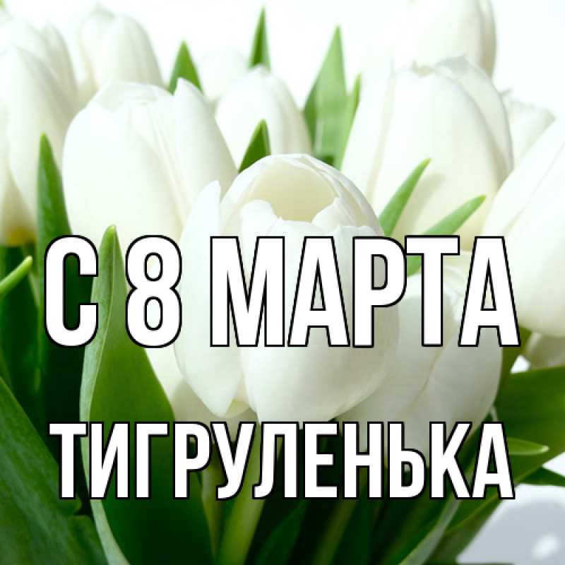 Картинка C 8 МАРТА, Тигpуленька