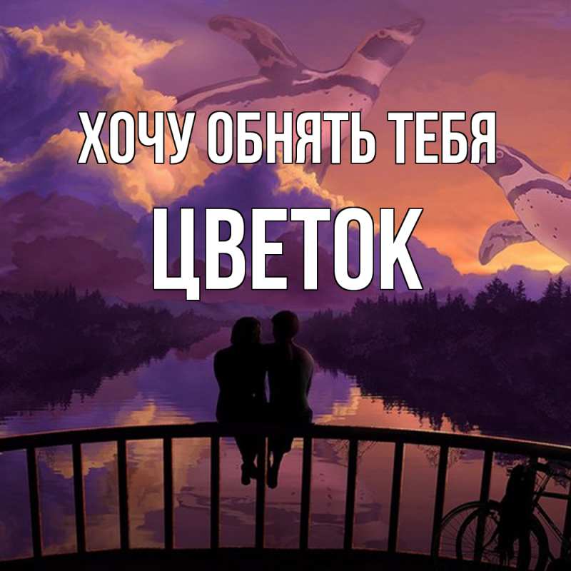 Картинка Хочу обнять тебя, Цветок