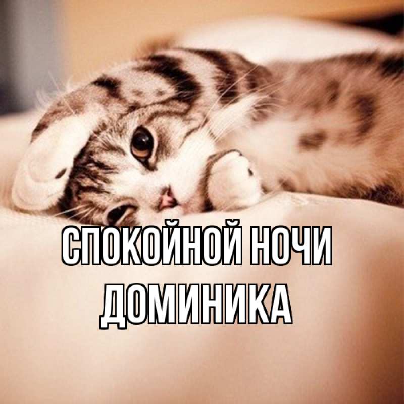 Картинка Спокойной ночи, Доминика