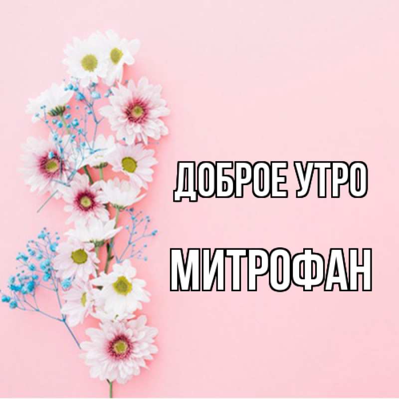 Картинка Доброе утро, Митрофан