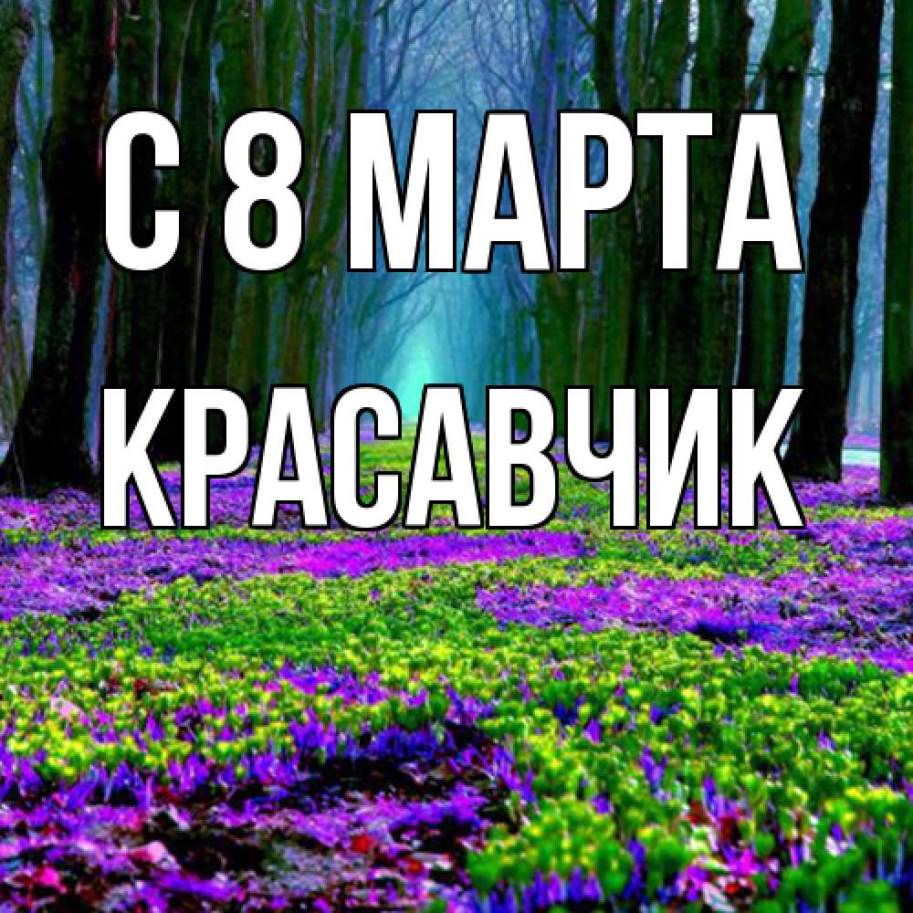 Открытка на каждый день с именем, Красавчик C 8 МАРТА фиолетовые цветы в лесу 1 Прикольная открытка с пожеланием онлайн скачать бесплатно 