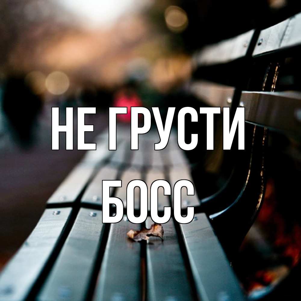 Открытка на каждый день с именем, Босс Не грусти размытый фон Прикольная открытка с пожеланием онлайн скачать бесплатно 