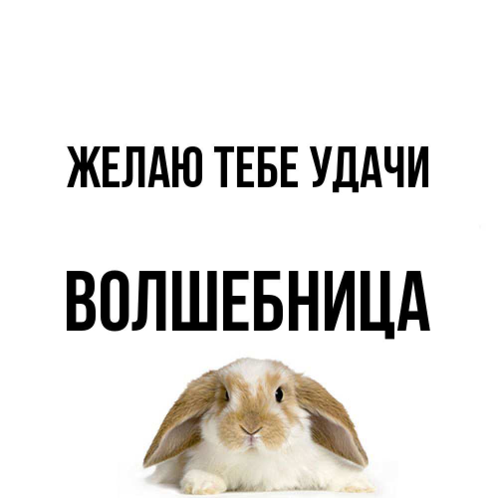 Открытка на каждый день с именем, волшебница Желаю тебе удачи открытки с произвольным текстом который можно вставить в открытку и создать ее самостоятельно бесплатно онлайн Прикольная открытка с пожеланием онлайн скачать бесплатно 